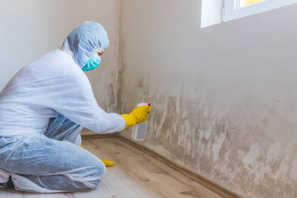 Mold Remediation for Rental Properties in Quinlan, TX